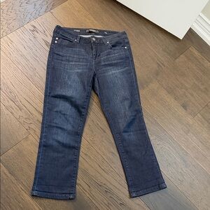 Liverpool Jeans Company Dark Indigo Ankle Jeans